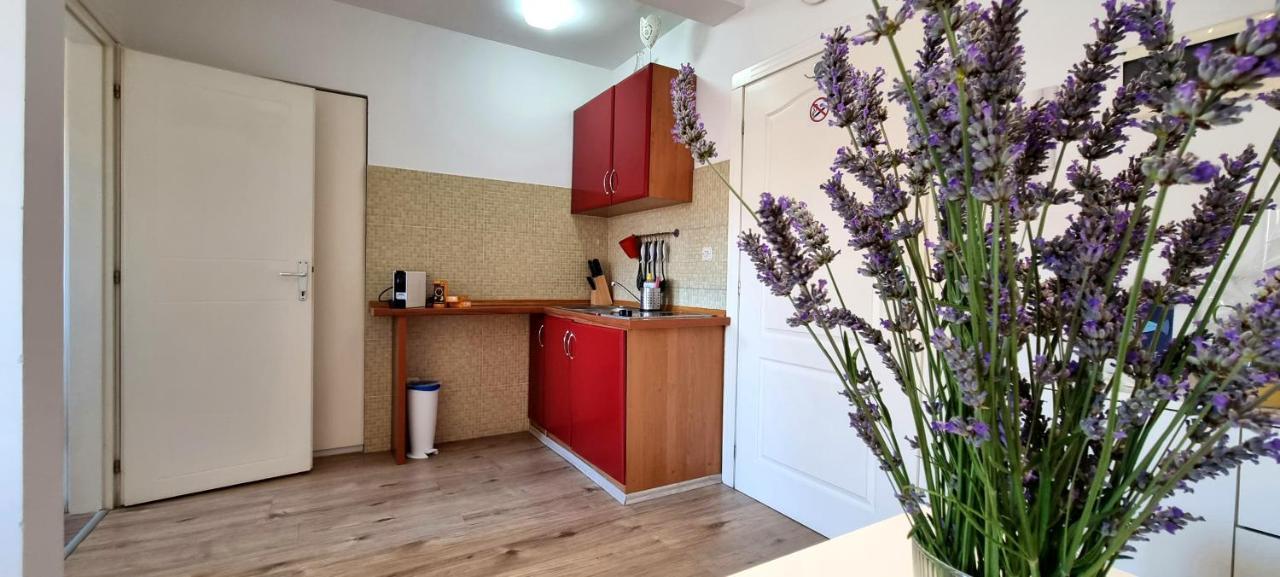 Tiny Studio Big Living Ровінь Екстер'єр фото